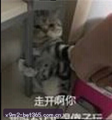 陈静